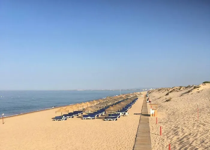 Victory Village T1 & Mezzanine アパート