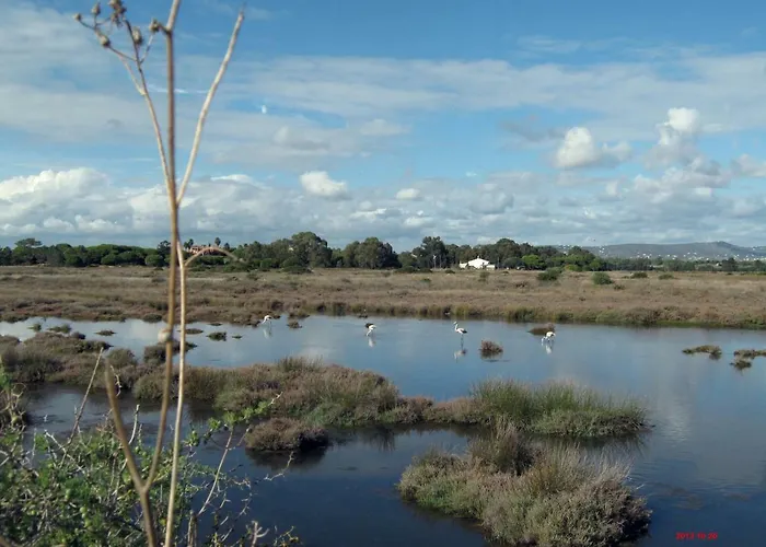 דירה Victory Village T1 & Mezzanine קינטה דו לאגו